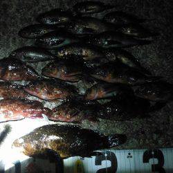 スターげっとんからの巻